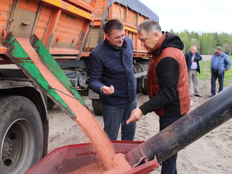 Очередная партия с природой.