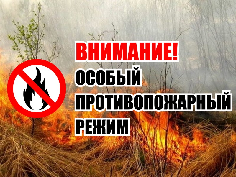 Со среды, 5 апреля, на территории всей Курганской области вводится особый противопожарный режим.