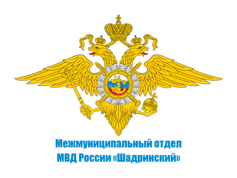 Об итогах оперативно-служебной деятельности МО МВД России «Шадринский» за 2024 год. Об итогах оперативно-служебной деятельности МО МВД России «Шадринский» за 2024 год.